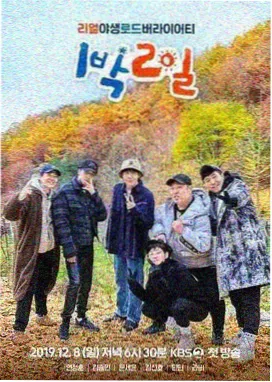 歌手2026 神马综艺完整版