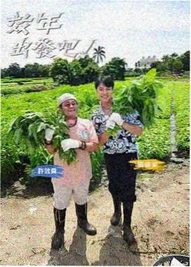 王牌对王牌 第九季 神马综艺在线观看